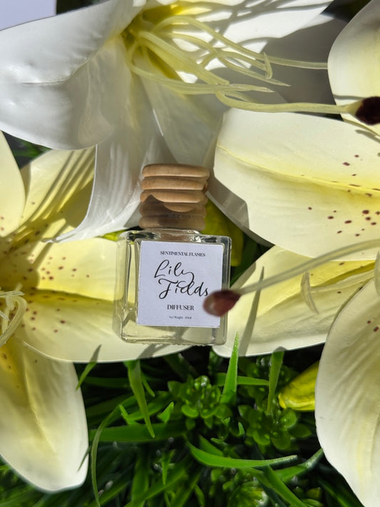 Lily Fields Car Diffuser.