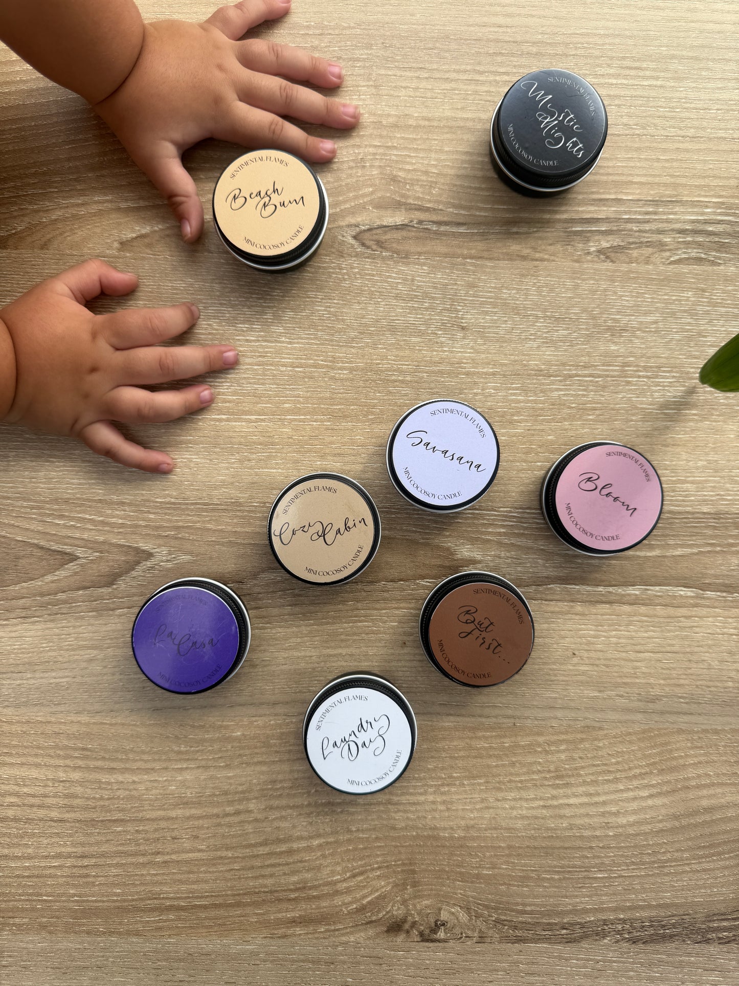 Discover your Scent.